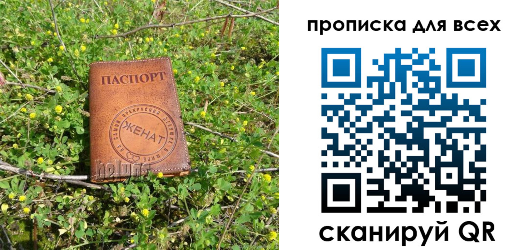 прописка поиск в Муравленко